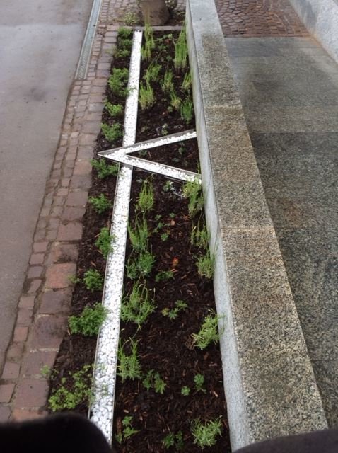 Gestalteter Wegesrand der Garten- und Landschaftspflege Ulrich M. Thaler